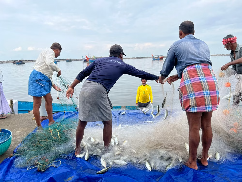 Fishermen at harbour
